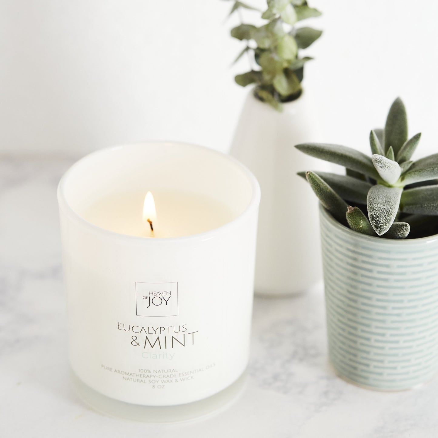 Eucalyptus & Mint Candle 100% Natural | Natural Candle