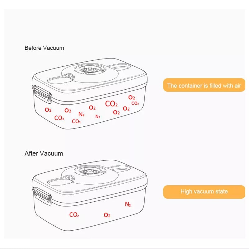 Rectangle Square Vacuum Container Different Capacity Vacuum Sealer Box